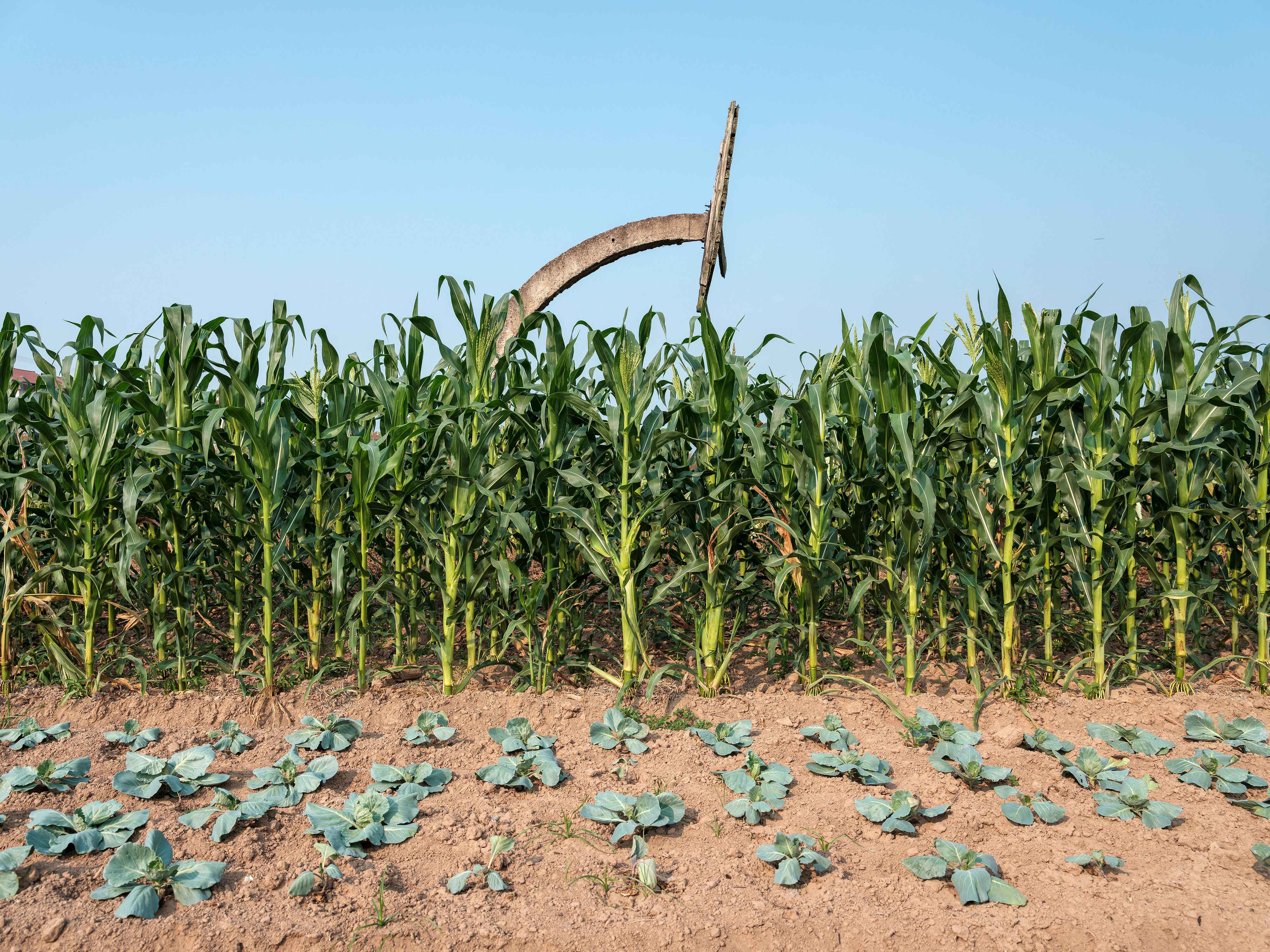 Epe Mixed Farm